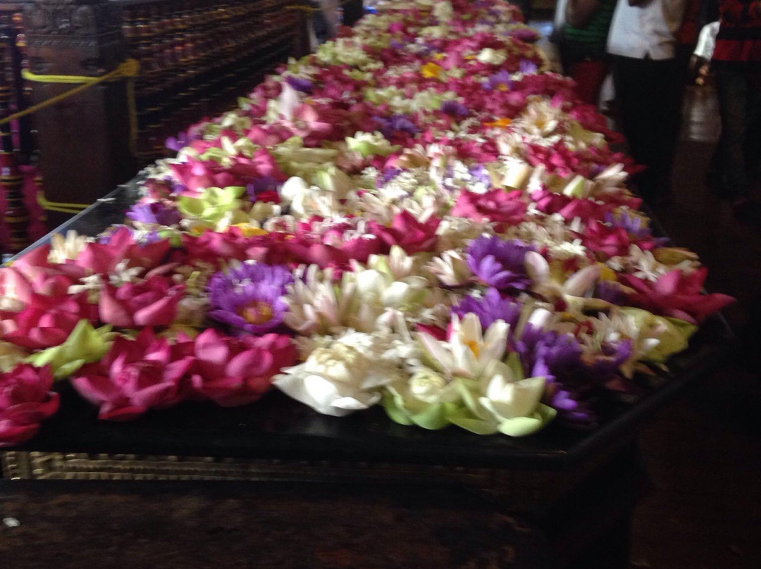 Fort Shri Sudarmalaya Buddhist Temple-加勒必去景点