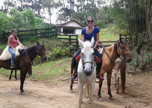 Raul Sampaio Horses4u-帕拉地必去景点