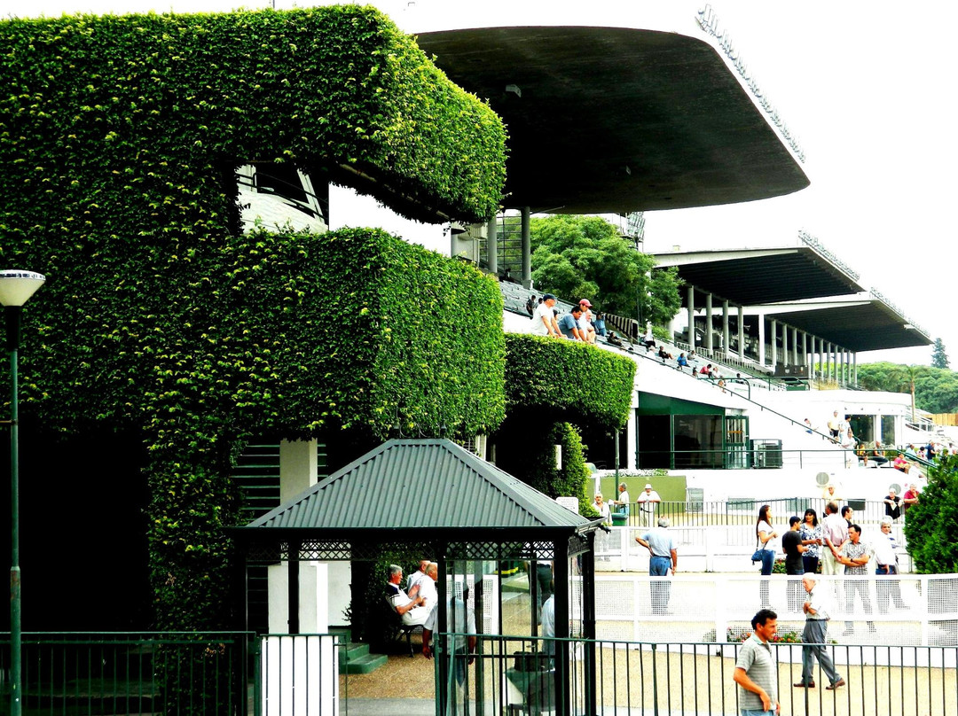 Hipodromo de San Isidro景点图片
