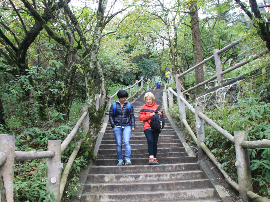 杜鹃花保护区-峨眉山市必去景点