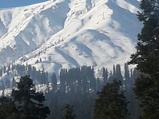 River Songs Tours and Travels-斯利那加必去景点