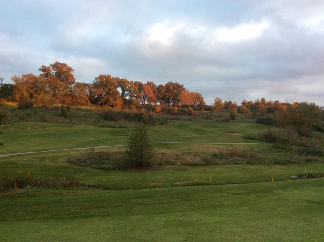 Poggio dei Medici Golf Club景点图片