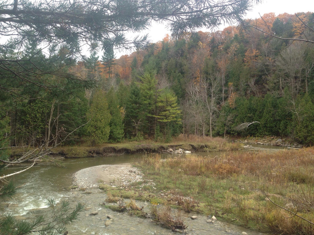 Rouge National Urban Park-多伦多必去景点