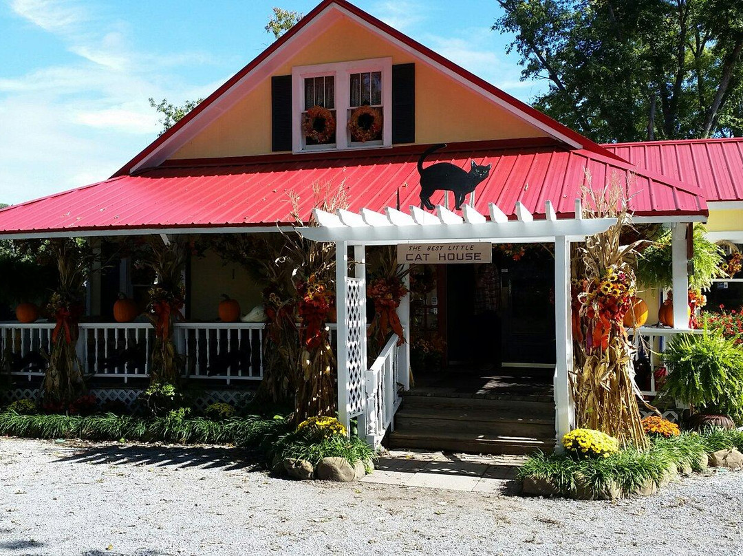 Smoky Mountain Cat House-皮金福奇必去景点