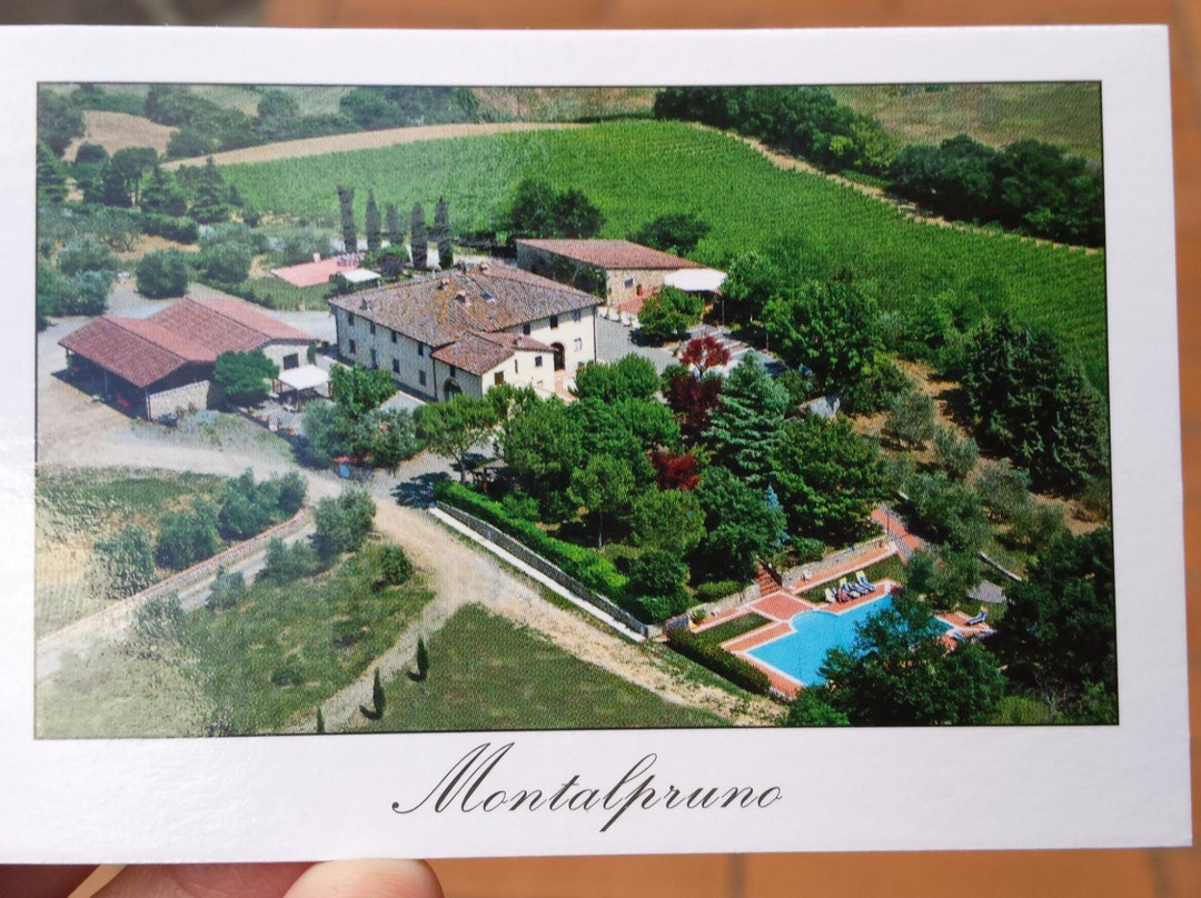 Azienda Agricola Montalpruno景点图片