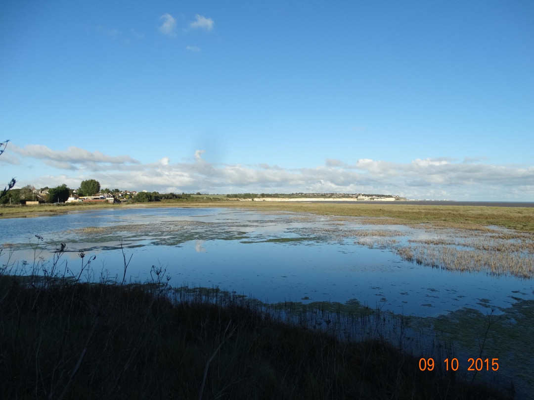 Sandwich and Pegwell Bay National Nature Reserve景点图片