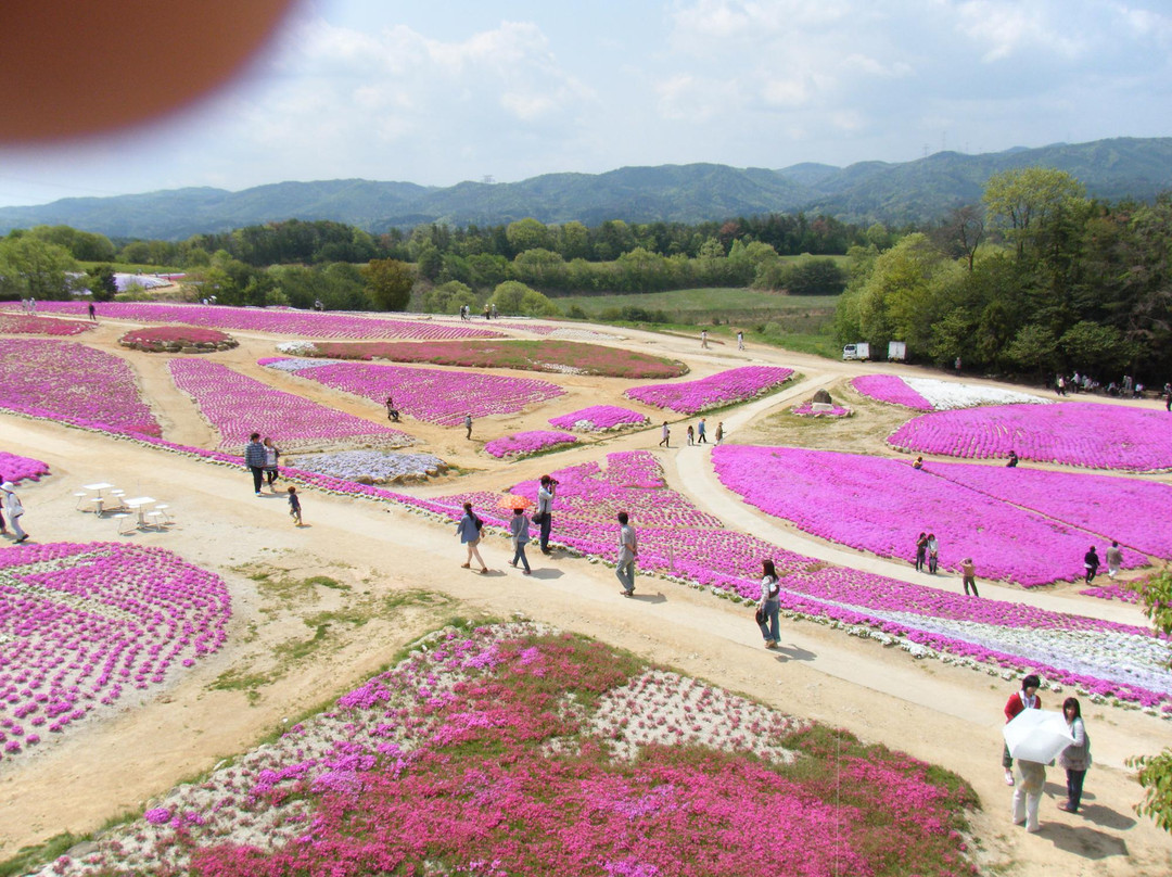 Kamu no Sato Rokutan-世罗町必去景点