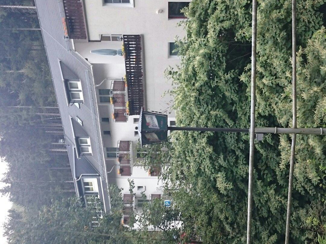 Hotel Waldmuehle主图