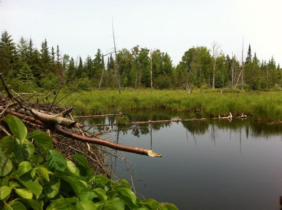 Wilderness State Park-Carp Lake必去景点