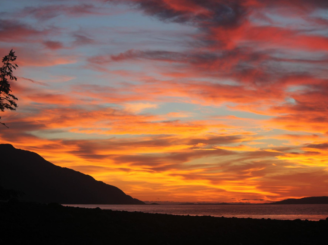 Wildcoast Adventures景点图片