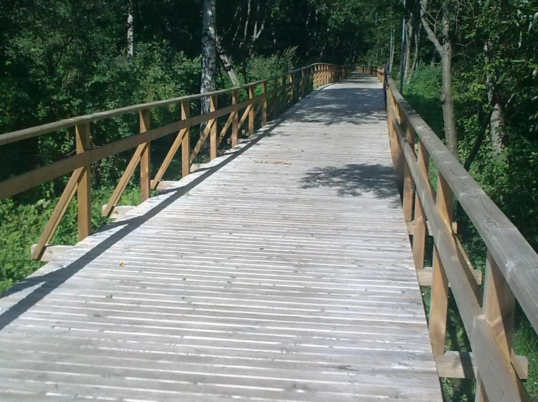 Cycling route Anyksciai-Puntukas Stone