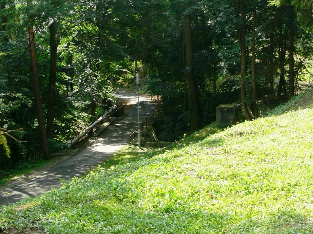 Ezustfenyo Hotel主图