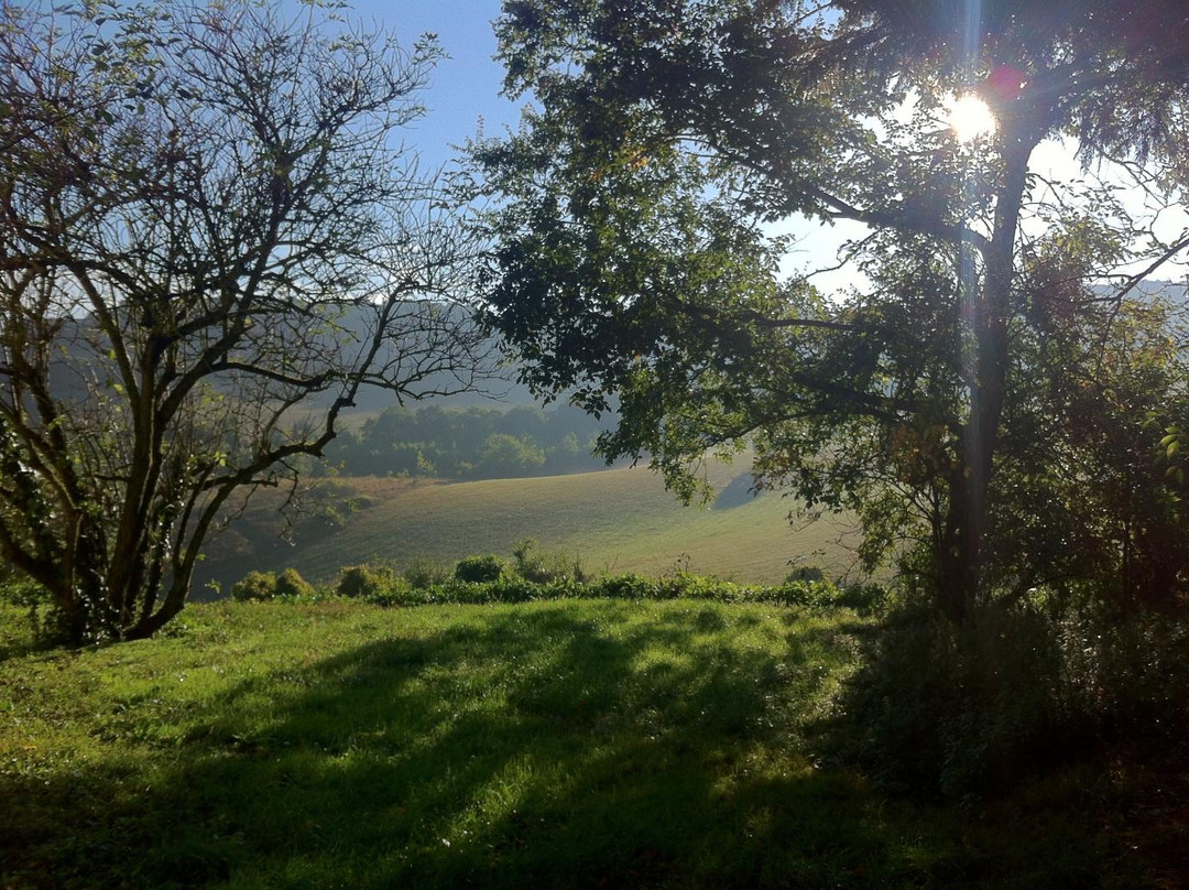 Domaine de Calvayrac主图