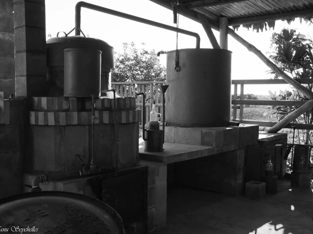 Domaine Du Cafe Grille景点图片