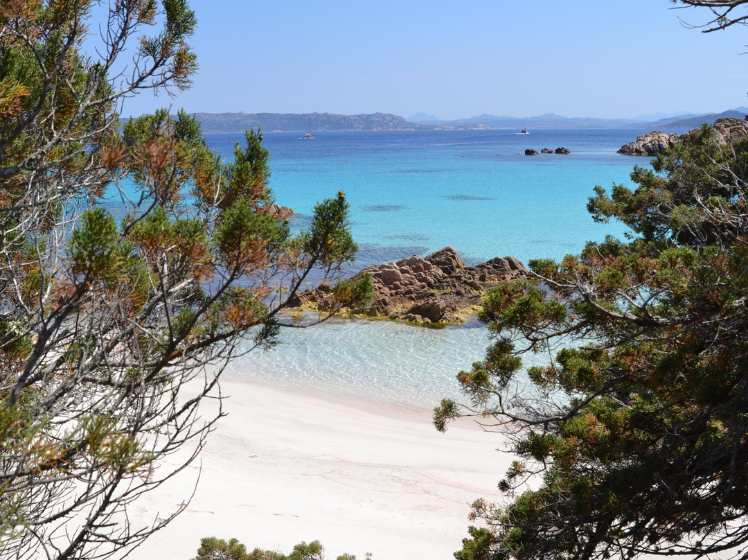 Spiaggia Rosa-Budelli必去景点