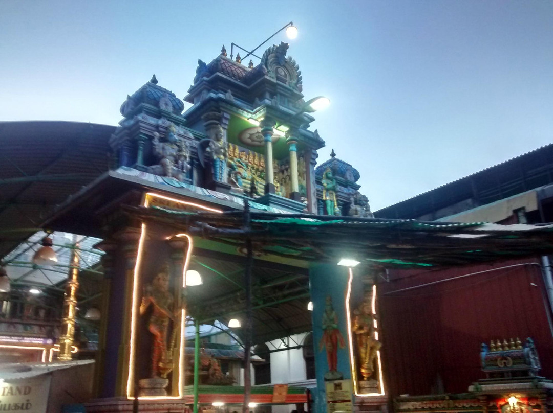 Ananthaa Padmanabha Swaamy Temple景点图片