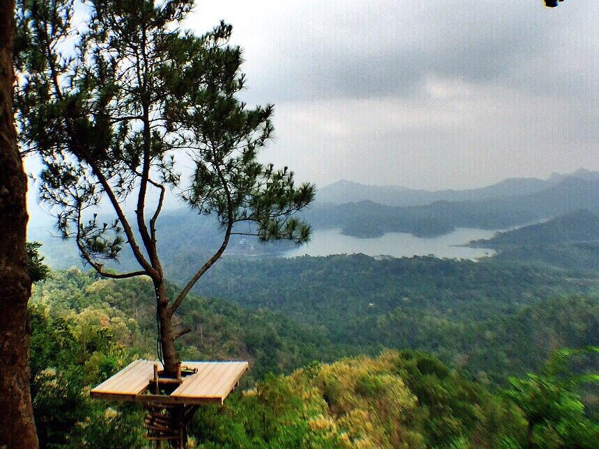 Wisata Kalibiru景点图片