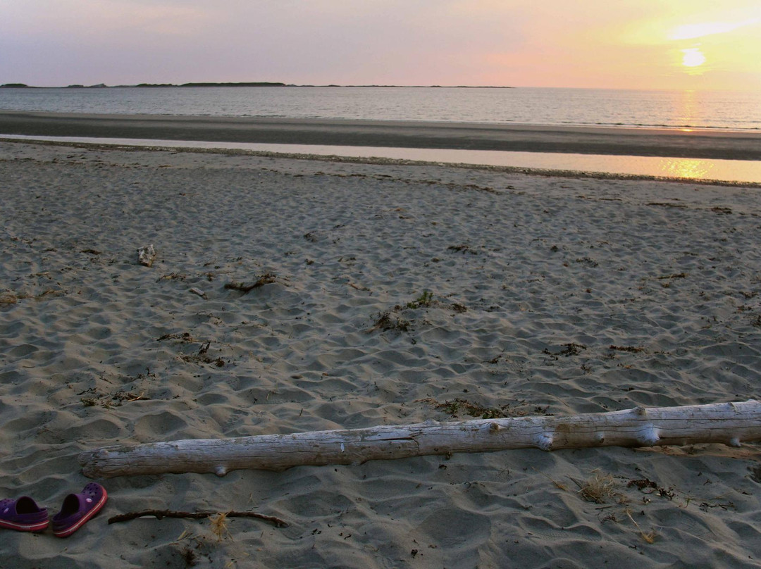Shallow Bay Beach景点图片