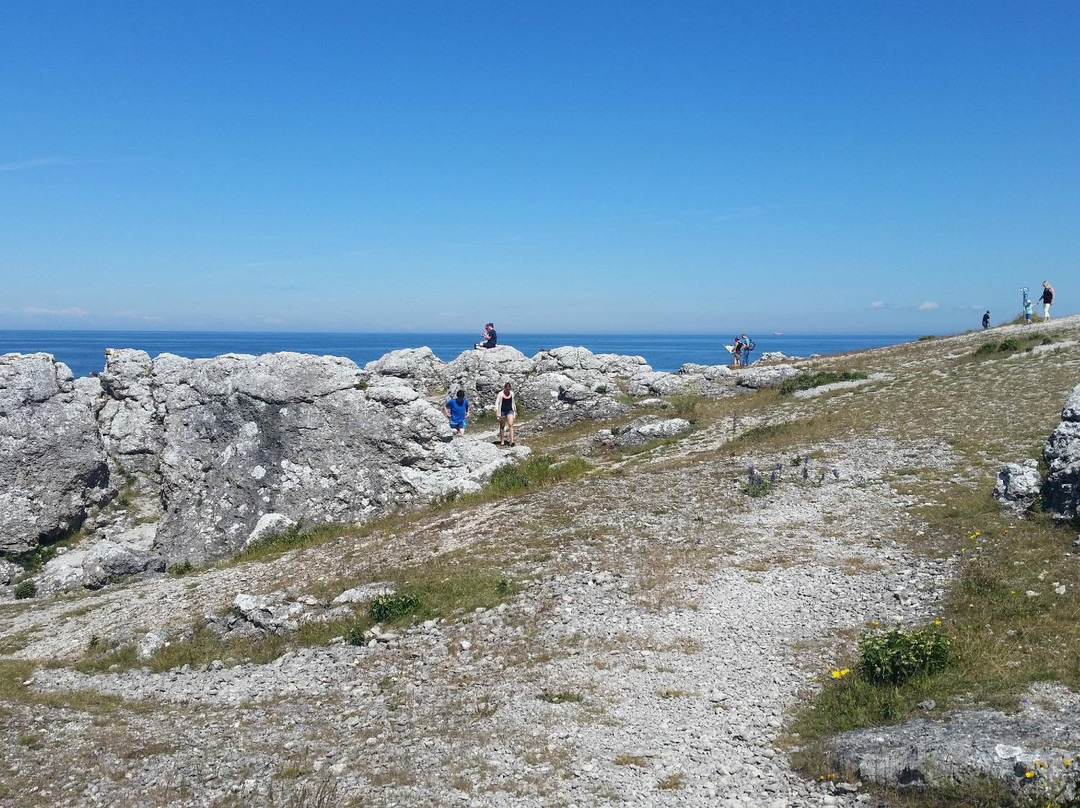 Digerhuvud Sea Stack Field景点图片