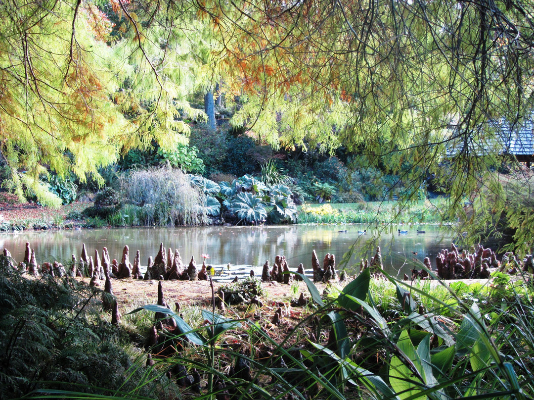 Ayrlies Garden & Wetlands景点图片