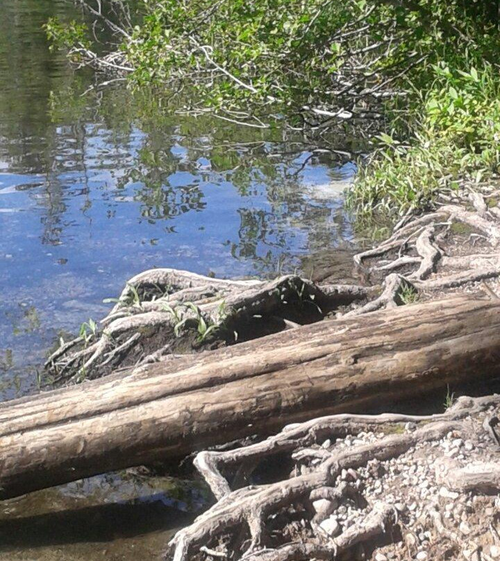 String Lake-大提顿国家公园必去景点
