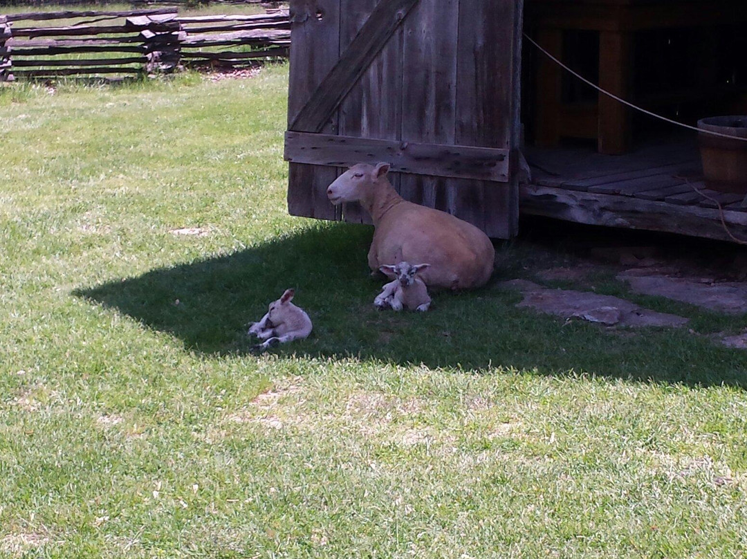 Missouri Town Living History Museum-Lee's Summit必去景点