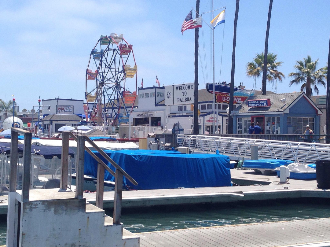 巴博亚岛渡轮-纽波特海滩必去景点