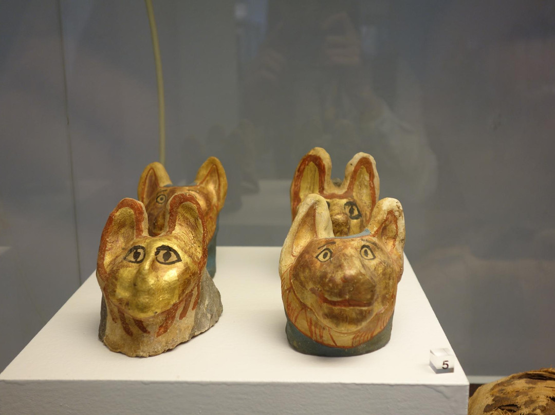 Bonn Egyptian Museum-波恩必去景点