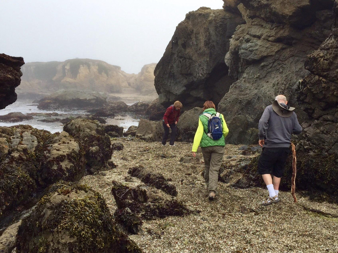 Noyo Headlands Park景点图片