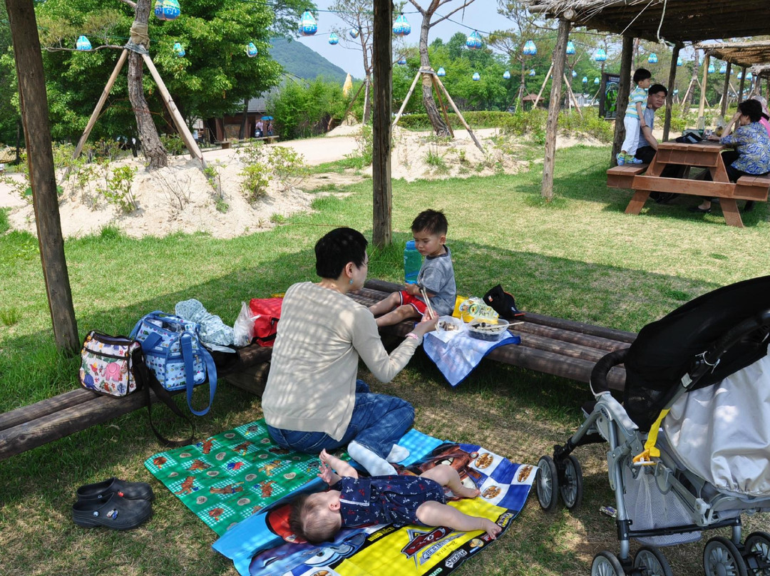 Jeongok-ri Prehistoric Site-涟川郡必去景点