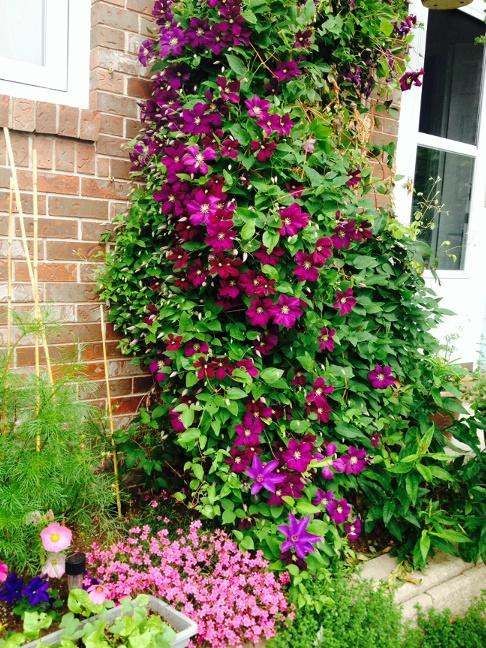 Breaside Court Bed & Breakfast主图