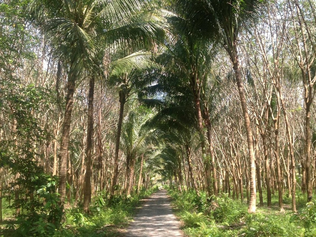 Khao Rearub-阁骨岛必去景点