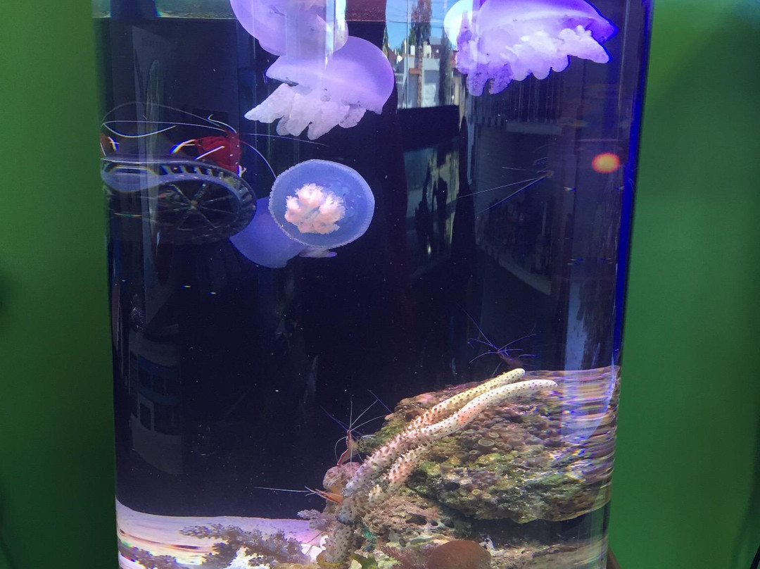 La Pequeña Barrera de Coral-奇瓦瓦州必去景点