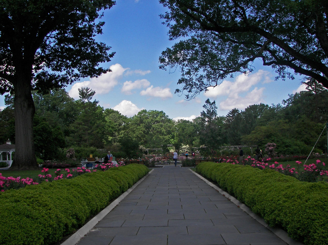 Rudolf W. Van der Goot Rose Garden-萨默塞特必去景点