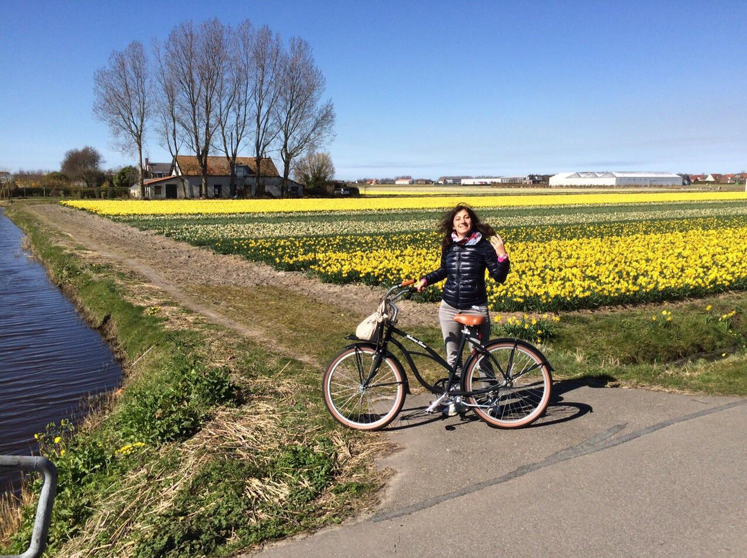 Bizon Bike Company-莱顿必去景点