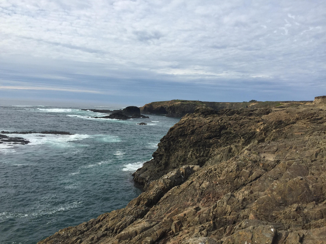 Mendocino Coast景点图片