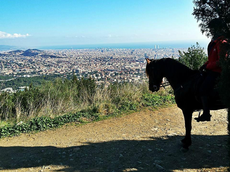 Cabalgando Hacia lo Salvaje-巴塞罗那必去景点