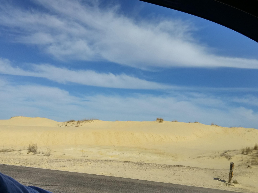 Monahans Sandhills State Park-Monahans必去景点