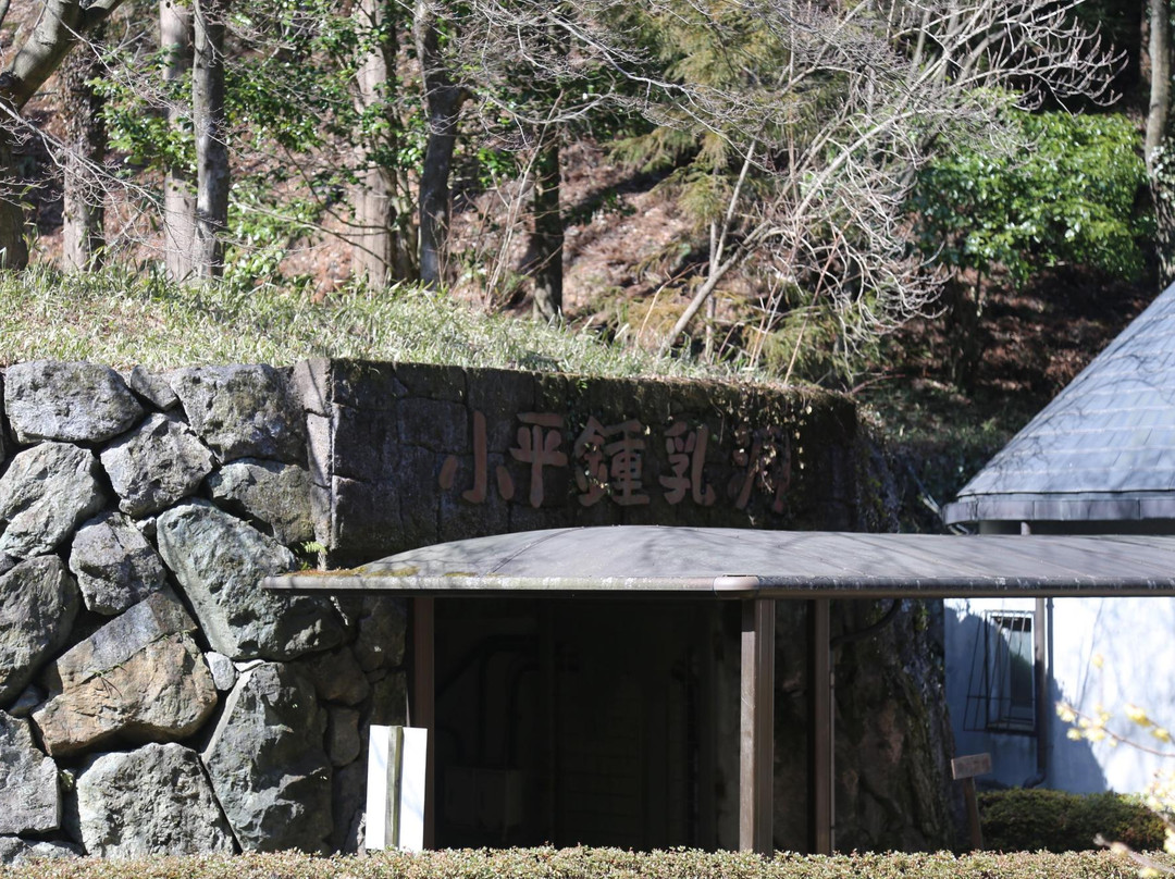 Odairanosato Shonyudo Park景点图片