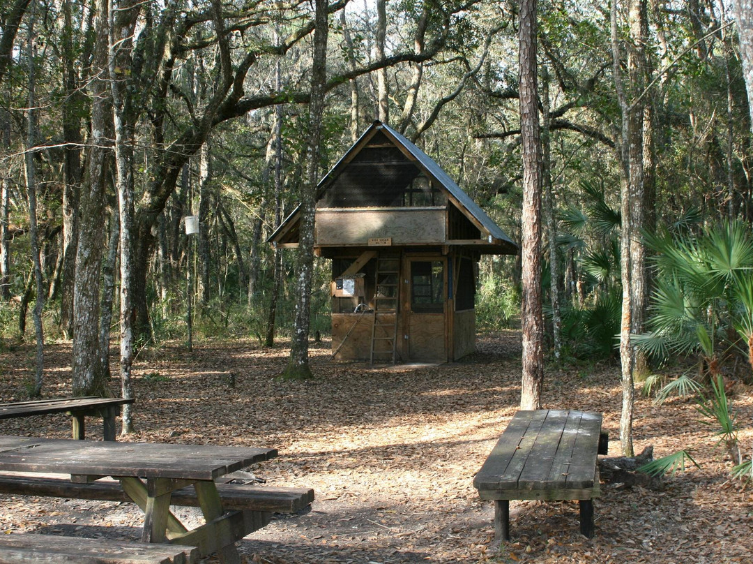 Rice Creek Conservation Area-Palatka必去景点