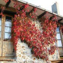 Hotel Rural Bajo El Arce