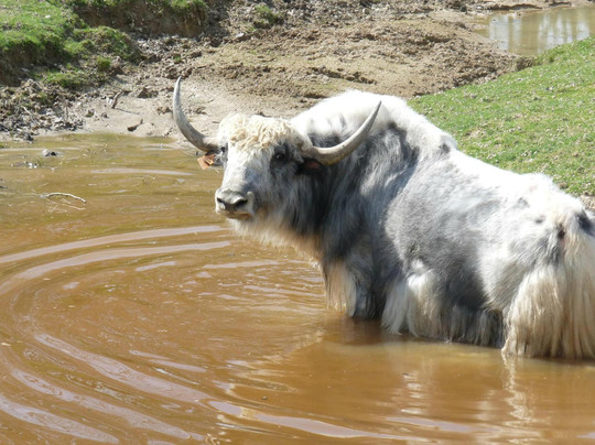 ZooParc du Cannet des Maures-Le Cannet-des-Maures必去景点