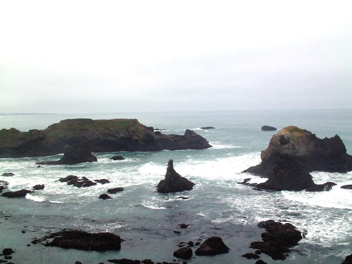 Fort Bragg Coastal Trail景点图片