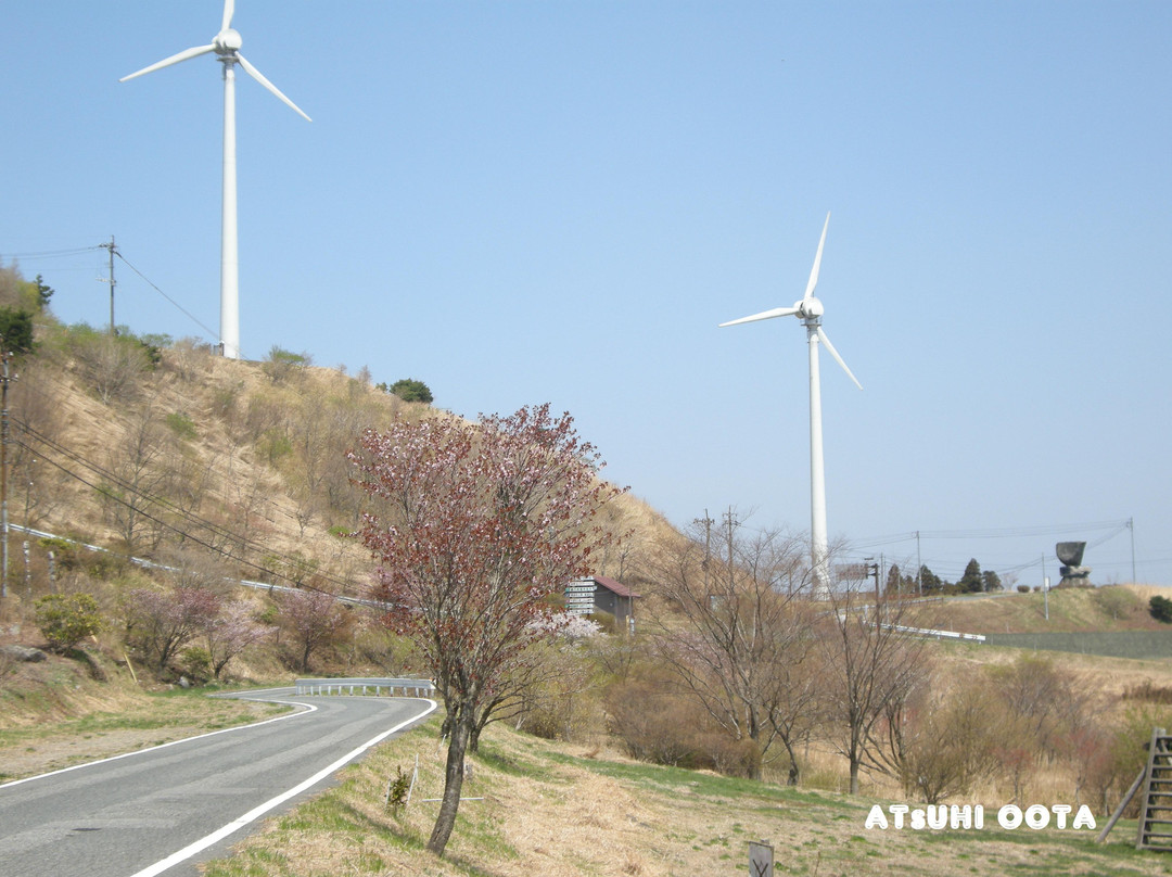 Tsubakigahana Camping Site-日田市必去景点