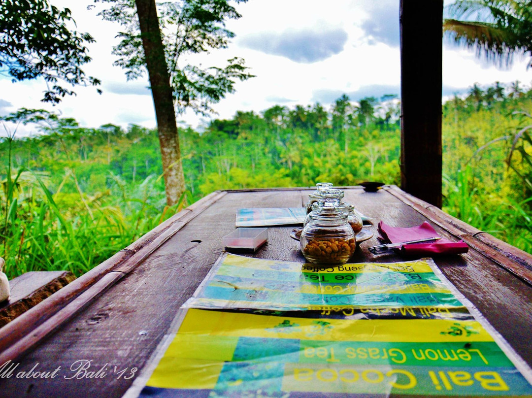 Bali A1 Driver-水明漾必去景点