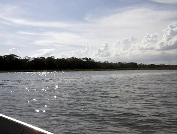 Parque O Figueiral景点图片