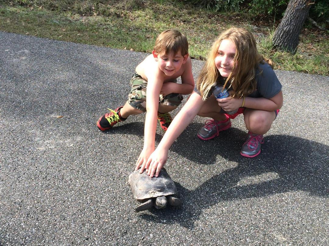 Lake Beresford Park-迪兰必去景点