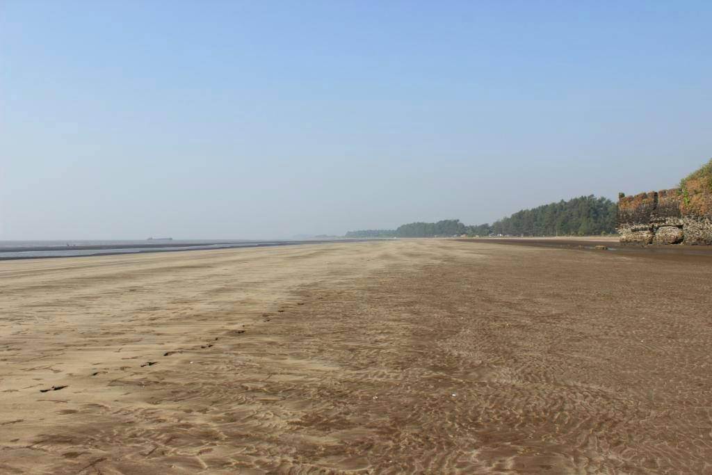 Revdanda Beach Fort景点图片