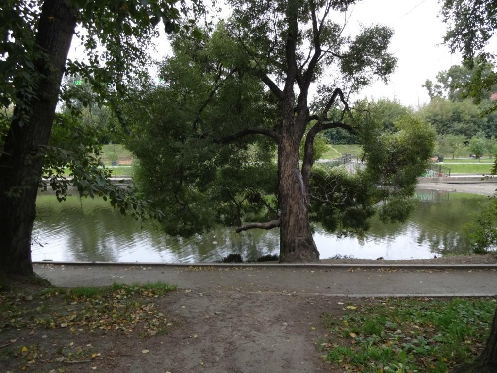 Dendropark景点图片