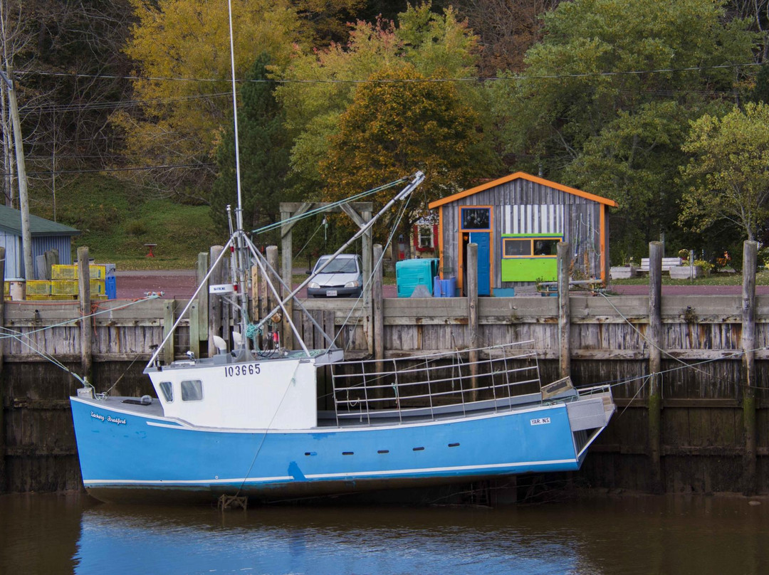 Dave's Taxi Tour Guys-圣约翰必去景点